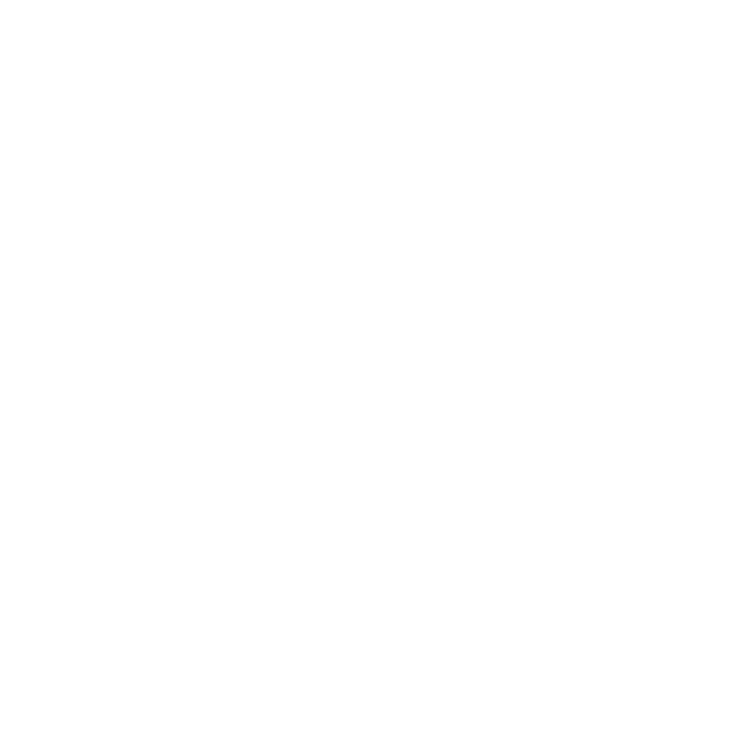 modernmaneextstudio.com